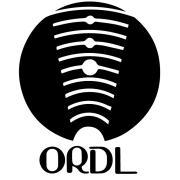 Ohno Research & Development Laboratories Co., Ltd. logo