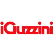 Iguzzini Illuminazione SPA logo